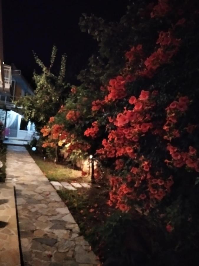 Villa Alekos Limenas  Buitenkant foto